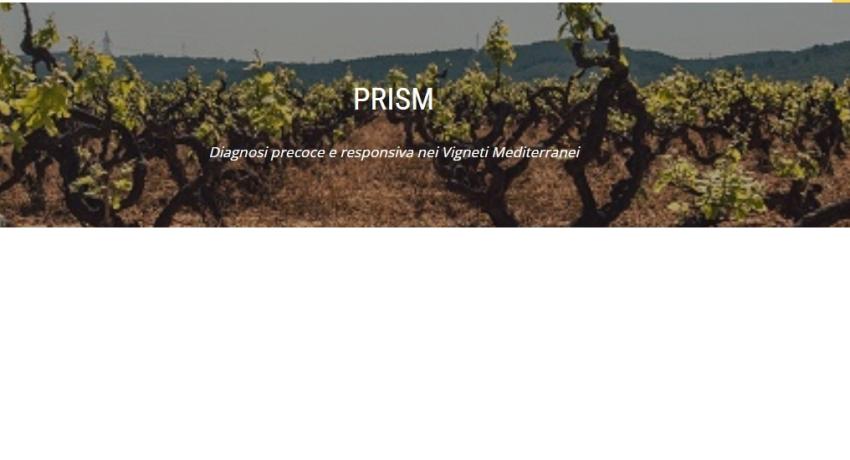 Immagine dal sito del progetto