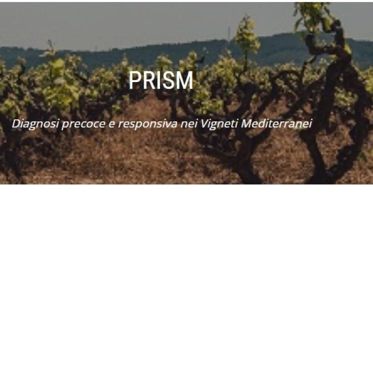 Immagine dal sito del progetto
