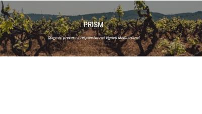 Immagine dal sito del progetto