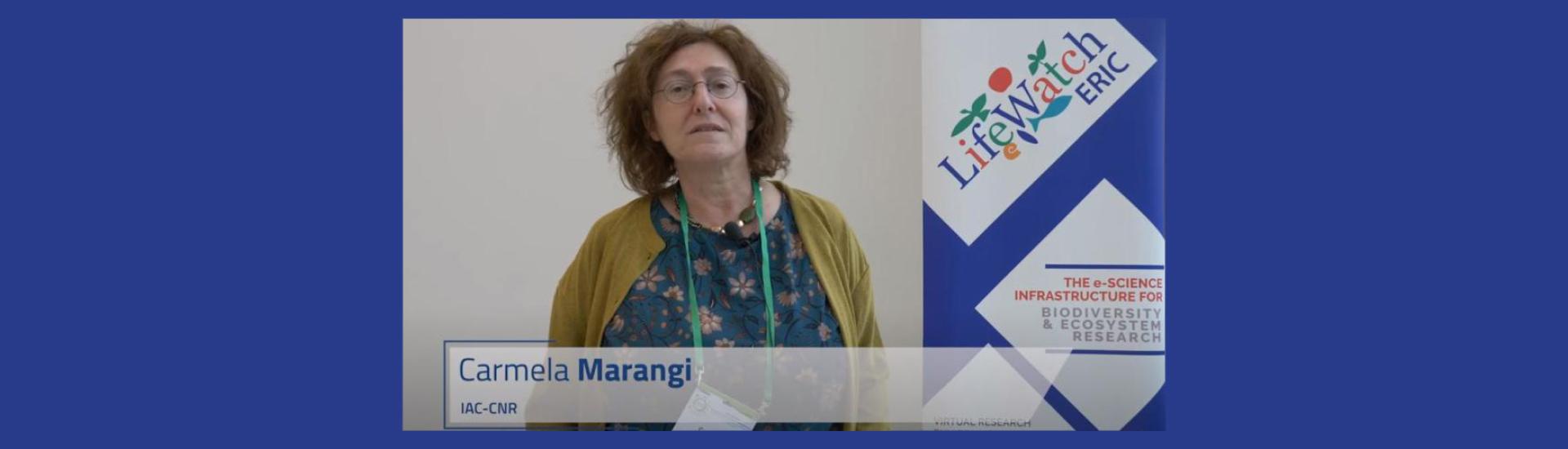 marangi
